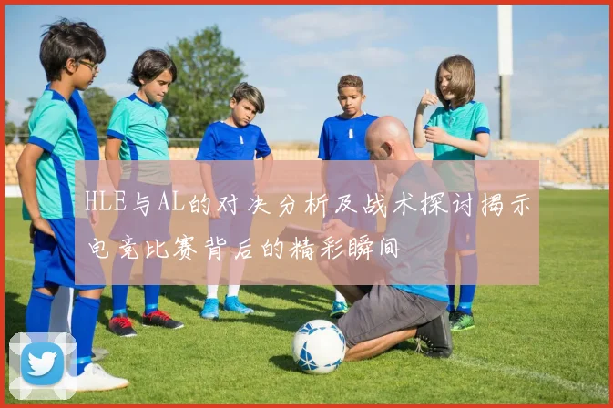 HLE与AL的对决分析及战术探讨揭示电竞比赛背后的精彩瞬间