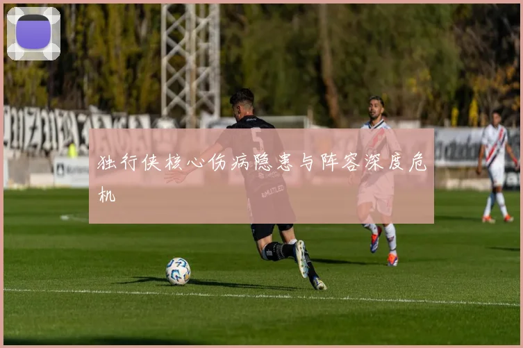 独行侠核心伤病隐患与阵容深度危机
