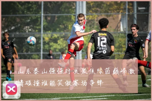 山东泰山强强对决聚焦绿茵巅峰激情碰撞谁能笑傲赛场争锋