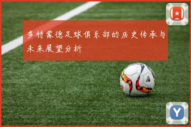 多特蒙德足球俱乐部的历史传承与未来展望分析