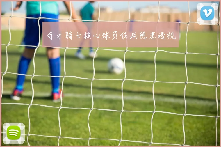奇才骑士核心球员伤病隐患透视