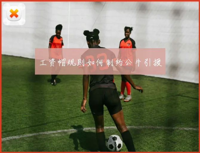 工资帽规则如何制约公牛引援
