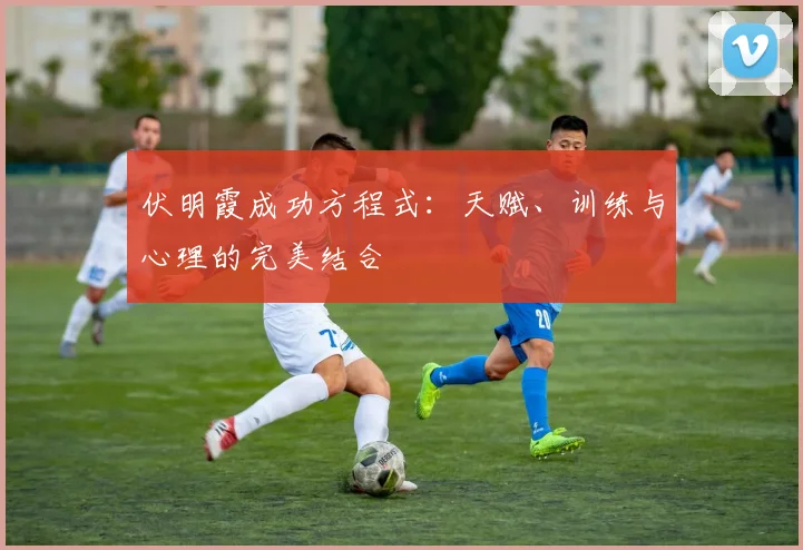 伏明霞成功方程式：天赋、训练与心理的完美结合