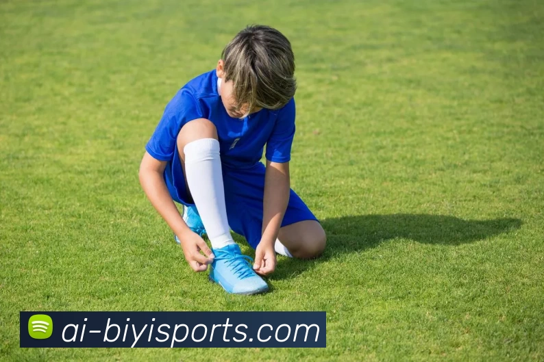 必一体育平台生态图